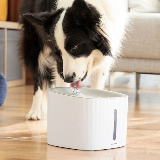InnovaGoods Drinkatt Automatic Plastic Waterer / Fountain for Dog & Cat with Base 3lt 19cm in White Color