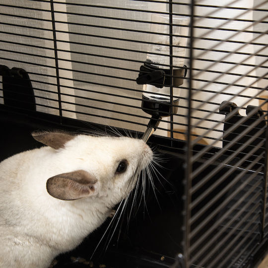 Pawhut Pawhut Rodents Cage Indian Hamster Cage 80x48x58cm