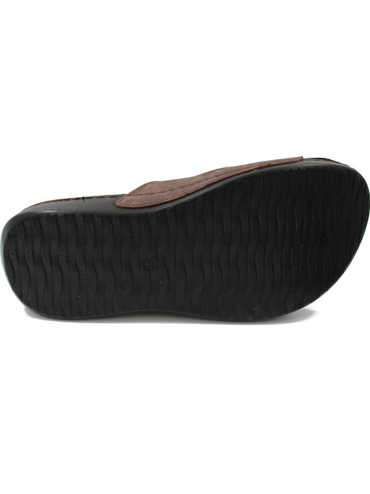 Anatomical Men's Slipper | Brown 390