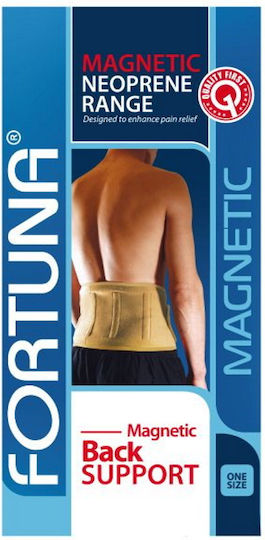 Ortholand INT-048 Ζώνη Για Ανακούφιση Από Πόνο Neoprene σε Γκρι χρώμα