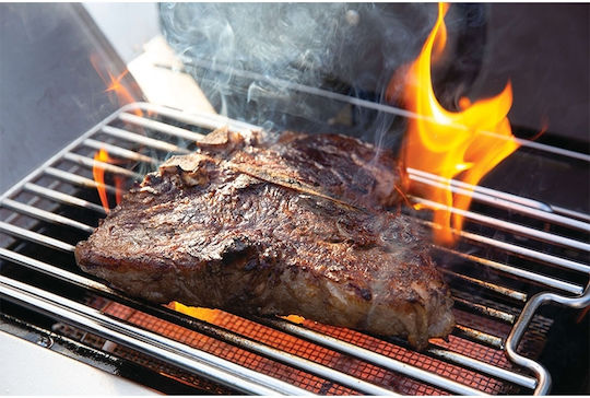 Napoleon Prestige PRO 665 Gasgrill Gusseisen Rost 96cmx46cmcm mit 5 cm 31kW