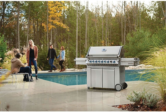 Napoleon Prestige PRO 665 Gasgrill Gusseisen Rost 96cmx46cmcm mit 5 cm 31kW