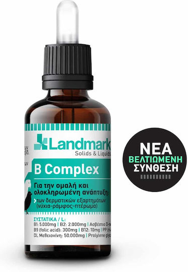 Landmark B Complex Συμπλήρωμα Διατροφής για Ωδικά Πτηνά 15ml 200gr