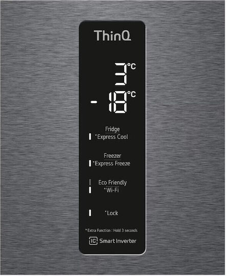 LG Kühl-Gefrierkombination 384Es Total NoFrost H203xB59.5xT67.5cm. Gray GBP62DSXCC1