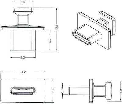 DeLock Dust Cover USB Type-C Female 10τμχ (64015)