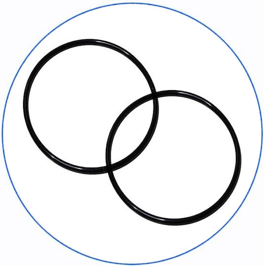 Aqua Filter BBPS10 Συσκευή Φίλτρου Νερού Κεντρικής Παροχής Μονή 1'' με Ανταλλακτικό Φίλτρο Aqua Filter FCPS Polypropylene 5μm