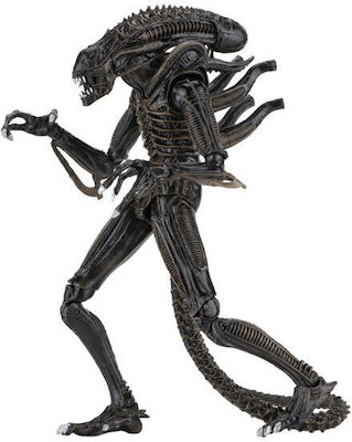 Neca Alien 1986: Războinic extraterestru & Egg Face Hugger Figurină de Acțiune NEC51683