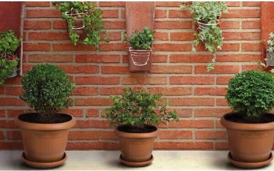 Viosarp Plastic Flower Pot 36x36x29cm