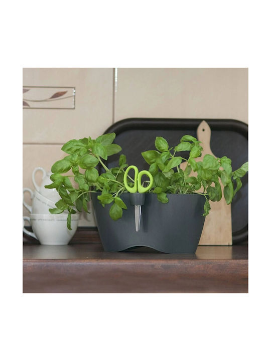 Marhome Limes Dublo Pot Plastic Graphite 25x12x12cm.