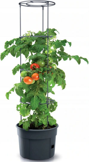 Marhome Tomato Grower Γλάστρα Πλαστική Ανθρακί