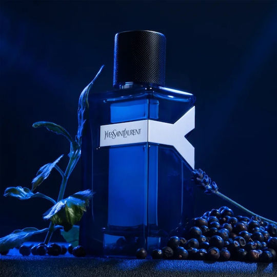 Ysl Y Intense Eau de Parfum 100ml