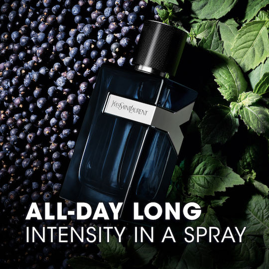 Ysl Y Intense Eau de Parfum 100ml