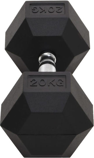 vidaXL 93608 Βαράκι Εξάγωνο 1 x 20kg