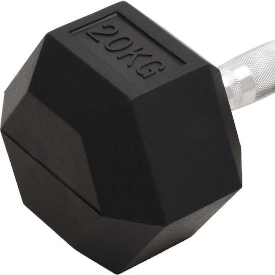 vidaXL 93608 Βαράκι Εξάγωνο 1 x 20kg