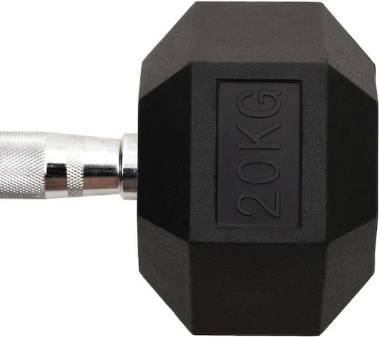 vidaXL 93608 Βαράκι Εξάγωνο 1 x 20kg