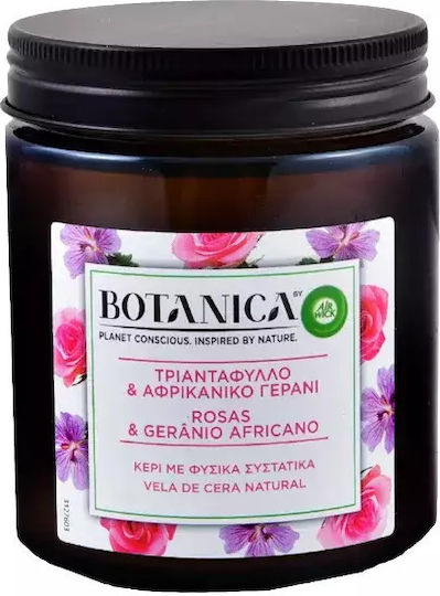 Airwick Botanica Αρωματικό σε Βάζο Τριαντάφυλλο & Αφρικανικό Γεράνι Airwick Botanica Αρωματικό σε Βάζο Τριαντάφυλλο & Αφρικανικό Γεράνι