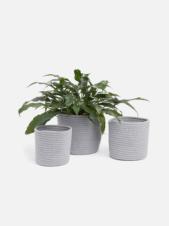 Set of Decorative Baskets Straw Gray 3pcs Next