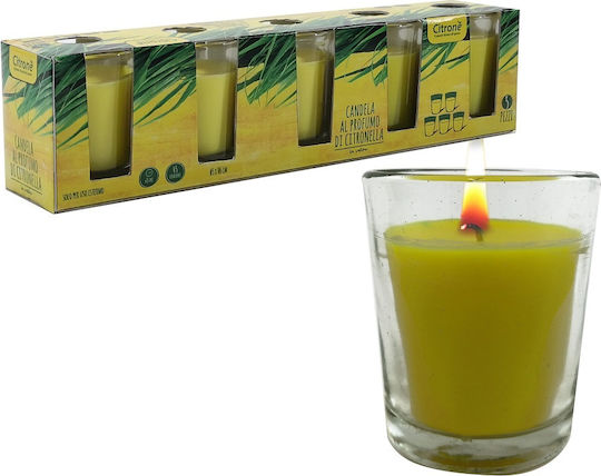ArteLibre Lemongrass Αρωματικό σε Βάζο Lemongrass ArteLibre Lemongrass Αρωματικό σε Βάζο Lemongrass