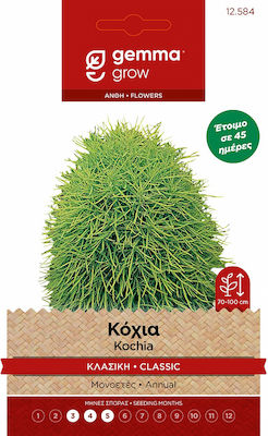 Gemma Seeds Bassia Scoparia 1gr/1000pcs