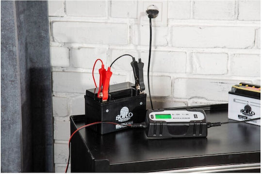 Saito Car Battery Charger