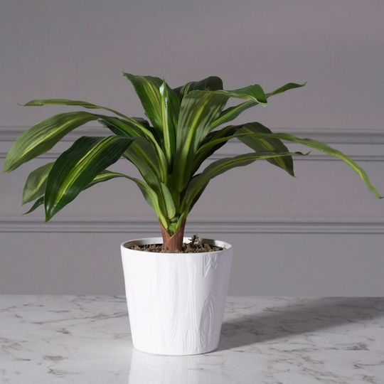 Supergreens Plant Pot Ceramic White