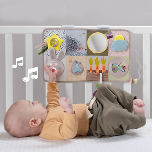 Taf Toys Hanging Car Toy with Music Teether and Mirror for Newborns