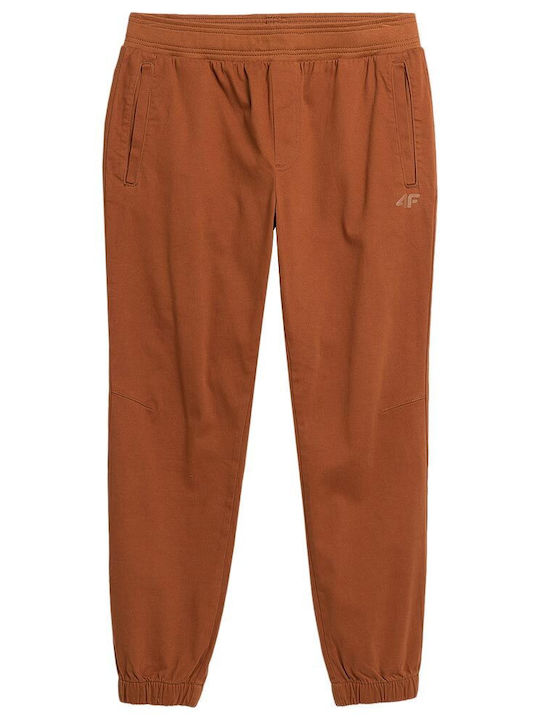 Hose Braun