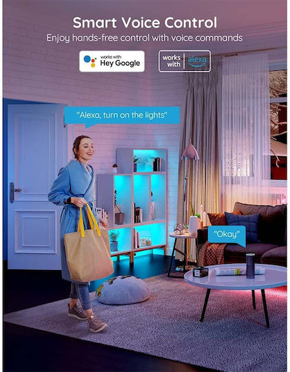 Govee Smart Ταινία LED Wi-Fi 24V RGB Φως 5m με Τροφοδοτικό