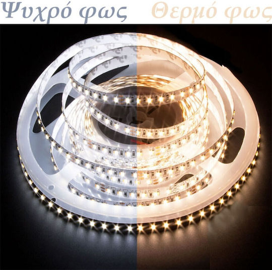 Aca Αδιάβροχη Ταινία LED 12V Ψυχρό Λευκό Φως 5m Τύπου SMD2835