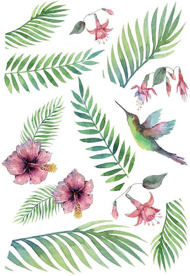 Decorative Sticker Wall Tropical Hummingbird 1pcs 70x47.5cm Ango