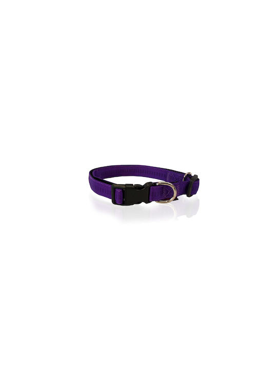 Pet Interest Stripes Dog Collar in Blue color Medium 20mm x 36 - 56cm