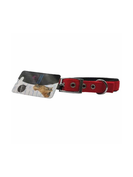 Pet Camelot Dog Collar In Red Colour 20mm x 45cm