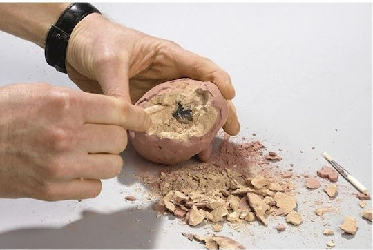 Moses Αυγό Δεινόσαυρου Educational Game Dinosaur Excavation