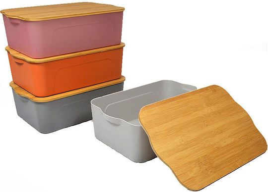 Sidirela Plastic Storage Box with Lid Rotten Apple 29x20x14cm 1pcs