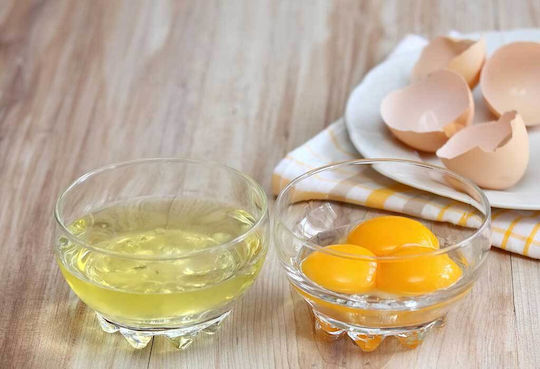 Svim Plastic Egg Separator 15 × 6 × 3.5 Cm