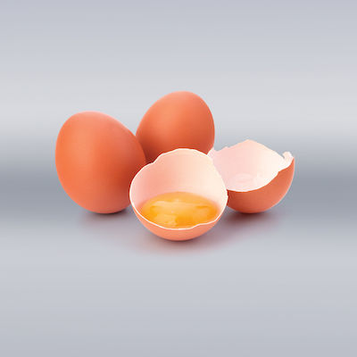 Plastic Egg Separator