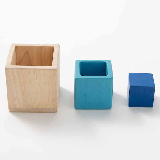 Plan Toys Κύβοι σε Φωλίτσα από Ξύλο για 1+ Έτους 3τμχ