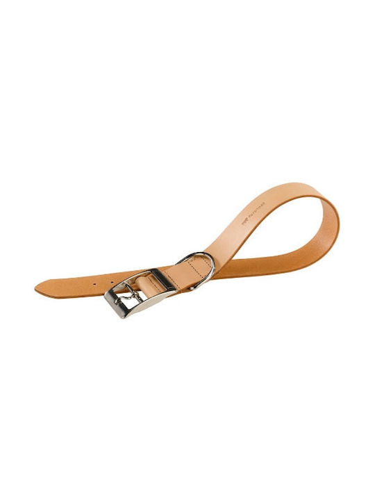 Ferplast Natural Hundehalsband Leder in Beige Farbe 10mm x 22 - 27cm