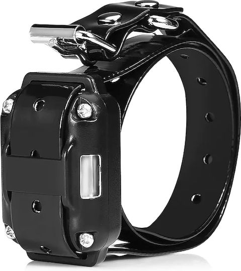 Factory Dog Training Shock Collar with Vibration and Sound Rechargeable and Waterproof RT-880 with Range 200m