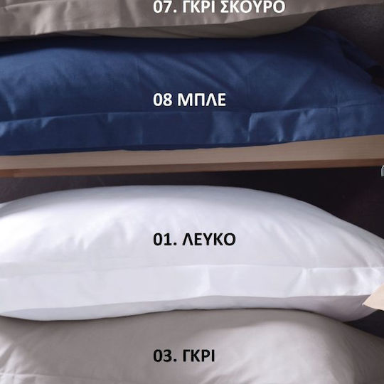 Rythmos Scenario