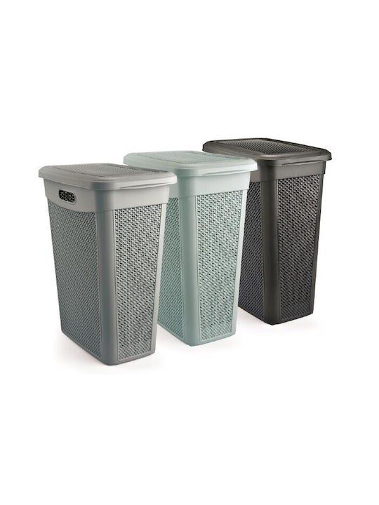 Viosarp Laundry Basket Plastic with Cap 46x29x55cm Gray