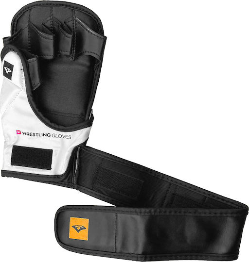 eBoxing Grappling EPX MMA Handschuhe Schwarz