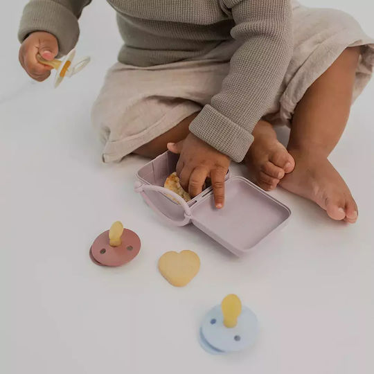 Bibs Pacifier Case Made of Gray Plastic