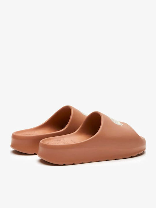 Frauen Flip Flops Tan