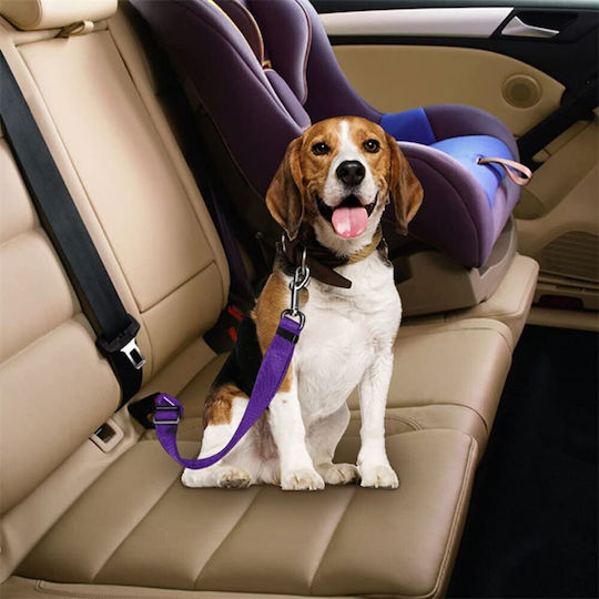 HAMA HAMA Sicherheitsgurt Für Hunde Auto 60cm