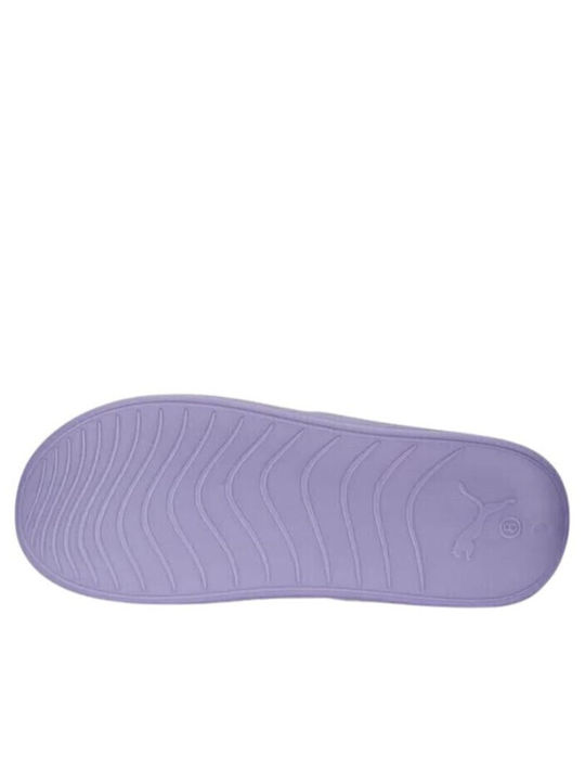 Popcat Slides Lilac