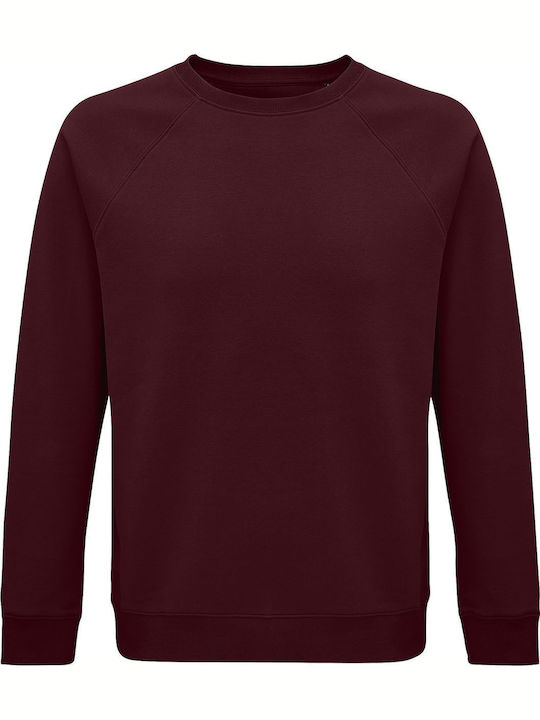 Sweatshirt Unisex Organic " Catch Waves Not Dramas Surfer " Back Print, Burgundy