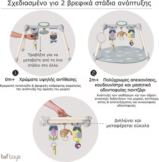 Taf Toys Urban Garden Γυμναστήριο Δραστηριοτήτων για Νεογέννητα