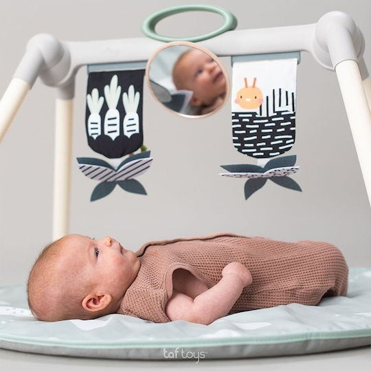 Taf Toys Urban Garden Γυμναστήριο Δραστηριοτήτων για Νεογέννητα