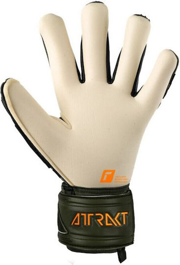 Reusch Attrakt Freegel Gold X Голмански ръкавици за Възрастни Зелени
